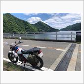 宮ヶ瀬湖周辺の林道をパトロー ...