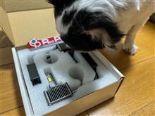 次男坊のチェック
