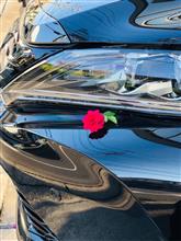 愛車ランキング10連覇達成の御礼m(._.)m