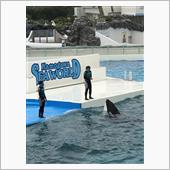 ベンチプレス・胸トレ・・・