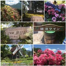 🌿💐ハーブ庭園 旅日記 勝沼庭園💐🌿