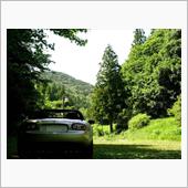 新緑に包まれて