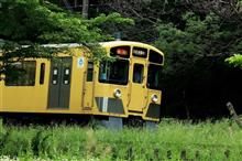 東京都東村山市の小さなお散歩