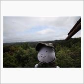 朝は雨、でなにするか迷った日