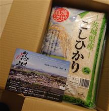 八千代町 こしひかり15kg(ふるさと納税)