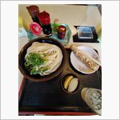 うどんにひかれる
