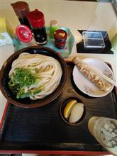 うどんにひかれる