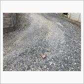 道路の真ん中に