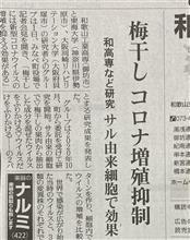 えっ⁉️ 梅干しにコロナ増殖抑制効果？？？
