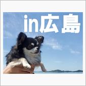 厳島→銀山町→呉→尾道→福山 ...