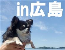 厳島→銀山町→呉→尾道→福山　家族旅行！！