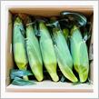 お届け物🌽