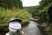 晴れたから盛り沢山！