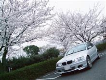 4気筒というもう一つの当たりグレード　BMW/E46 318i M-Sports