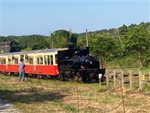 Choo Choo TRAIN