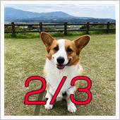 9泊10日！？　九州旅行ブロ ...