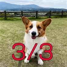 9泊10日！？　九州旅行ブログ3/3（熊本・長崎・佐賀・福岡・本州）
