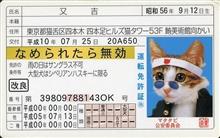本日、積年の夢が実現！！