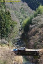 放置されていた写真達、草ヒロもあるよ 放置されていた写真達、草ヒロもあるよ