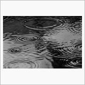 梅雨時の洗車