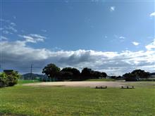 某公園でお散歩