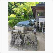 琵琶湖へ旅立つ４（LAST）