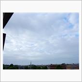６月８日　やっと折り返しな水 ...