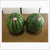 初物で晩酌の巻・・(^^)/