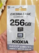 256GB