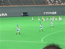 北海道札幌ドーム　日ハム　VS   中日　戦