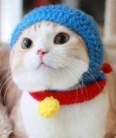 早すぎる・・・(￣▽￣;)
