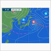 ゴボウの収穫と、苗の成長状況 ...