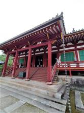 少し早い紫陽花
