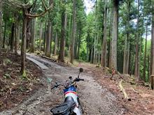 道志みち周辺の林道をパトロール