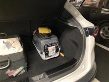 猟師か？