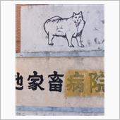 かかりつけ医探し