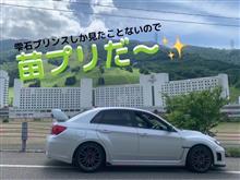 ハイドラなのにゴンドラ必須のパターンじゃん🤔 ハイドラなのにゴンドラ必須のパターンじゃん🤔