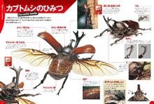 カブトムシ、いいなぁ