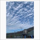 おそらく。。。うろこ雲