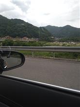 ザリガニ狩り場探索！