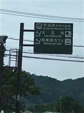 ザリガニ狩り場探索！