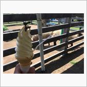 高速乗らないツーリング。