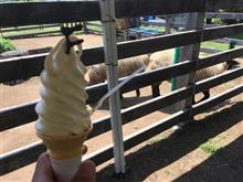 高速乗らないツーリング。