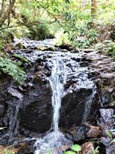 奥琵琶湖① ～ 山門(やまかど)水源の森