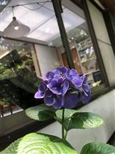 司馬遼太郎記念館 2022 新企画展