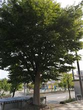 2022除草剤散布3回目6/19