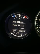 今日の収穫