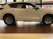 CX-5の試乗を＾＾
