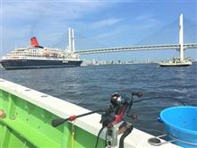 旬の金アジ狙って橋巡りの巻・・(^^♪ 旬の金アジ狙って橋巡りの巻・・(^^♪