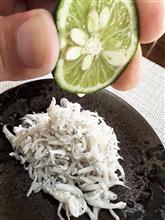 ごぼ天うどんと釜揚げしらす ごぼ天うどんと釜揚げしらす